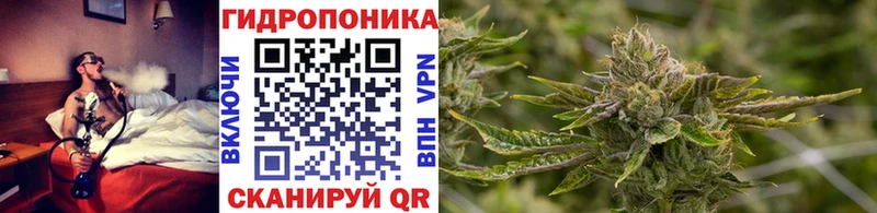 Где купить наркоту Сибай Галлюциногенные грибы  Меф  ГАШ  Кокаин 