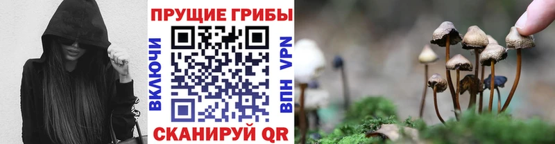 Галлюциногенные грибы GOLDEN TEACHER  наркошоп  Сибай 