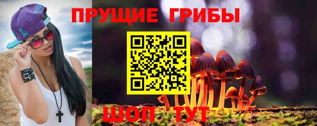 Псилоцибиновые грибы прущие грибы  Вход с VPN  Сибай 