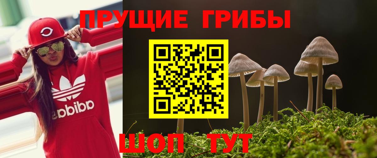 Псилоцибиновые грибы MAGIC MUSHROOMS Сибай
